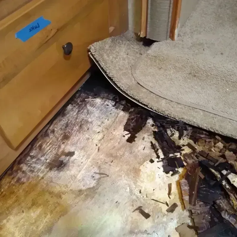 Wood Floor Water Damage in Ocean City, NJ